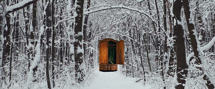 Wardrobe to Narnia in the snowy forest 